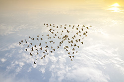 leadership-evolution-in-russia-mif