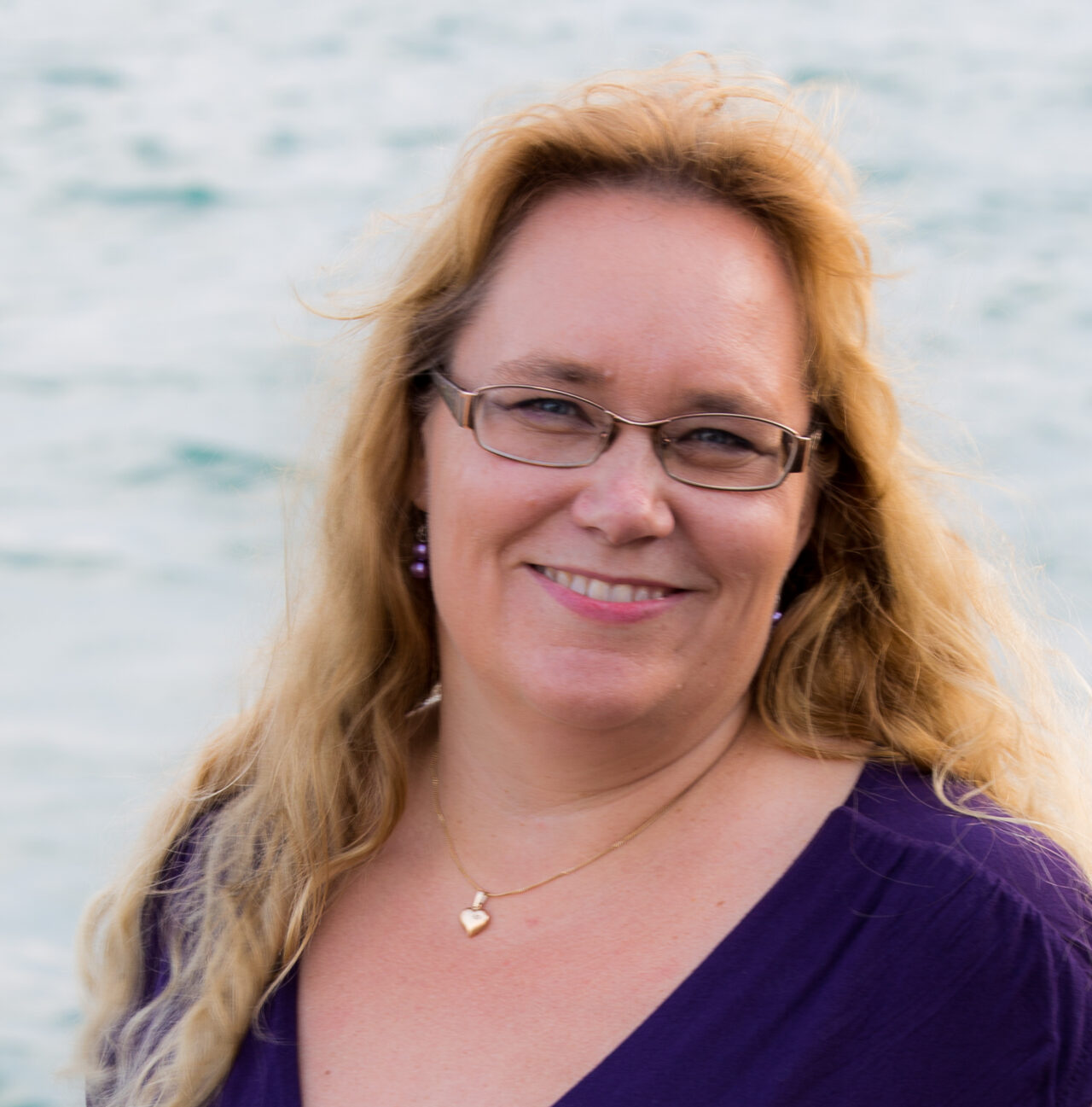 Hanna Willman-Iivarinen, Professio
